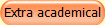 Extra academical